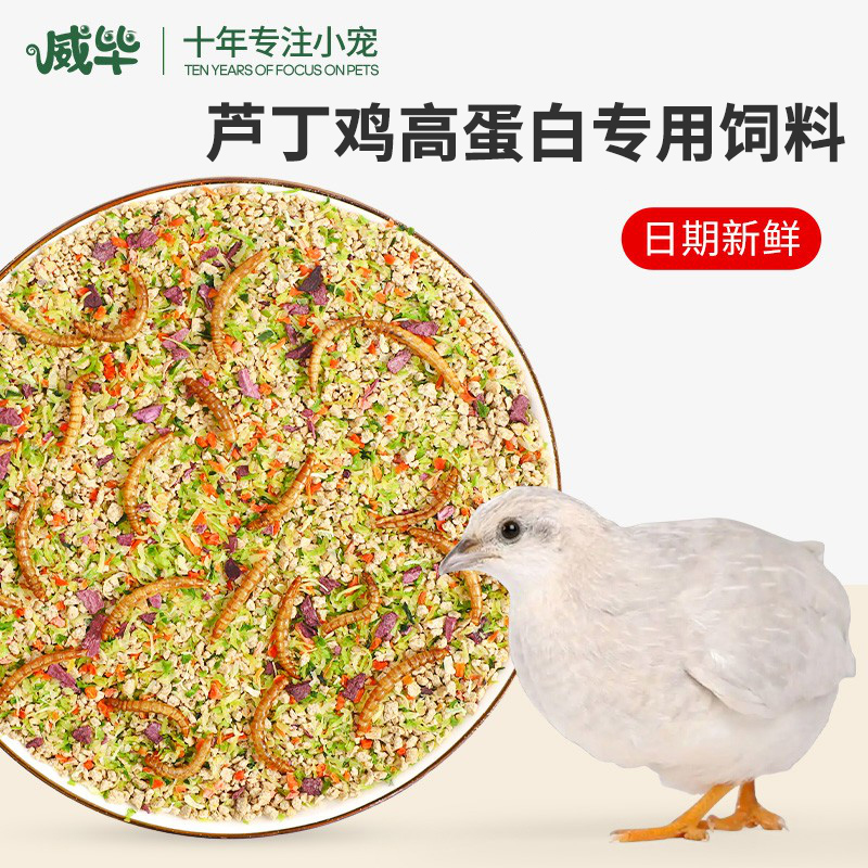 芦丁鸡饲料混合粮食高蛋白鸟粮