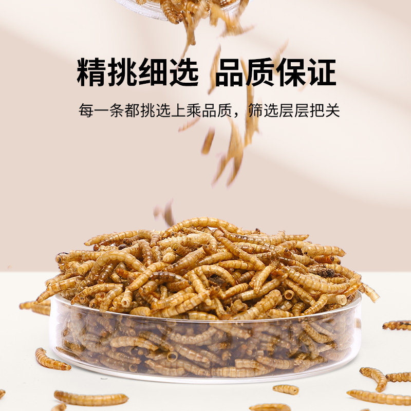 芦丁鸡面包虫干高蛋白鸟粮八哥鹩哥鸟食鹌鹑专用饲料小鸡开口粮