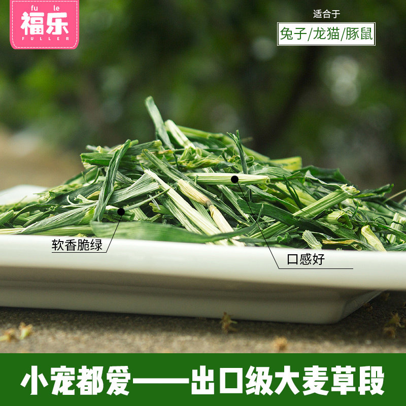 大麦草荷兰猪豚鼠粮食食物龙猫草幼兔兔子吃的干草牧草草段饲料