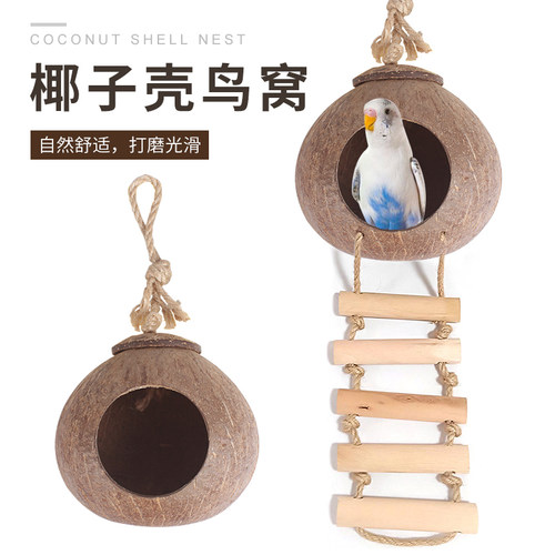 虎皮鹦鹉鸟窝椰子壳过冬