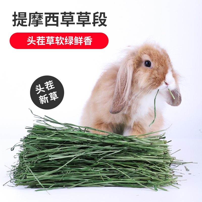 速发2021提摩西子段兔草提烘干猪木西草干草兔粮饲料粮食牧草