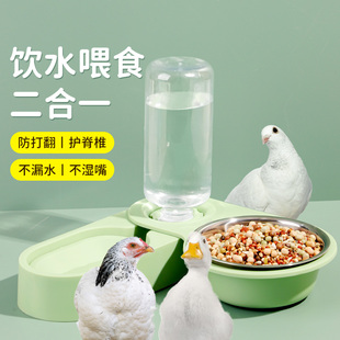 鸽子食槽小鸡鸭子自动喂食器饮水器二合一粮料桶鹦鹉用品用具食碗