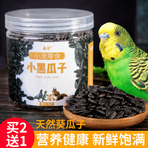 买二送一鹦鹉专用瓜子训练奖励