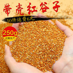 优质带壳红谷子小米饱满鸟食鸟粮虎皮牡丹鹦鹉珍珠饲料250g