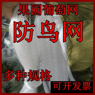 樱桃树保护网防鸟防乌网果园防鸟户外果树葡萄树纱网防鸟吃网家用