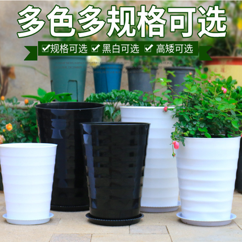 特大号螺纹散尾葵金钱树果树花盆大型植物高筒圆形加厚白色塑料盆,鲜花速递/花卉仿真/绿植园艺,花盆,淘宝优惠券,粉丝福利购,淘宝优惠卷