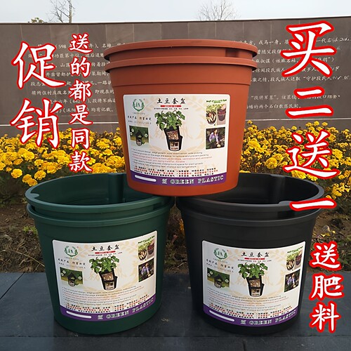 家庭阳台种植蔬菜加厚多功能盆