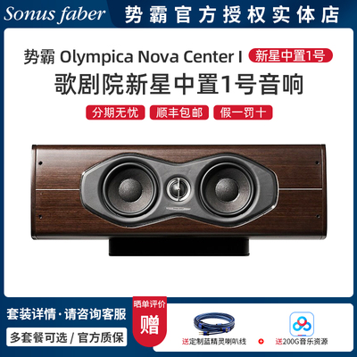 势霸中置音箱HIFI家庭影院音响