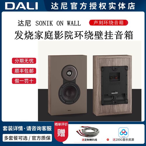 DALI达尼SONIKONWALL环绕挂墙