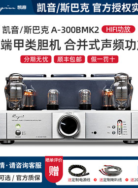 Cayinhifi合并式真空管胆机功放