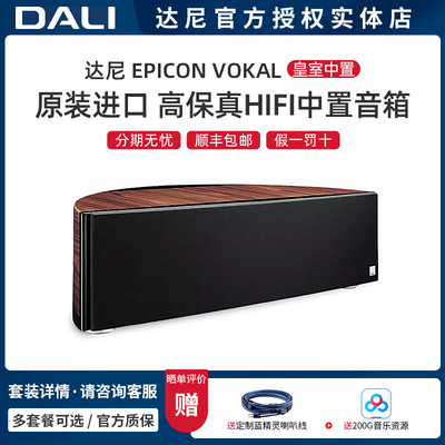 达尼中置HIFI发烧音箱5.1声道