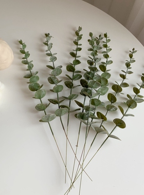 ins冷淡风绿植摆件家装金钱假花