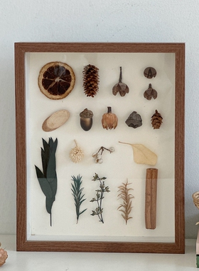 落叶标本相框diy手工干花植物蝴蝶标本相框挂墙捡秋画框装饰摆件