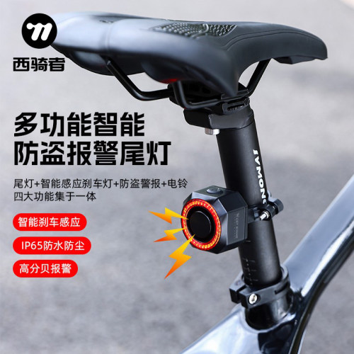 西骑者多功能防盗刹车感应尾灯