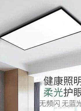 照明厨卫厨房卫生间铝扣板嵌入式30*300*60集成吊顶led平板