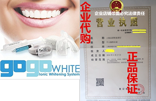 GOGO Whitening Kit Teeth White Premium