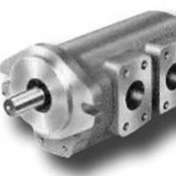 天津厂热销齿轮泵G5-16-16-1E13S-20-R双联泵图片参数（现货）