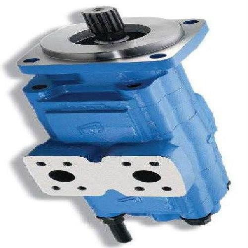 齿轮泵P257-G633 67PG配套成工6GCG966H（现货）