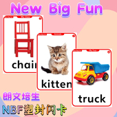 朗文培生NewBigFun英语单词卡儿童启蒙NBF塑封教学闪卡教师教具