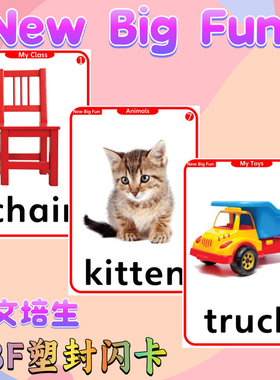 朗文培生NewBigFun英语单词卡儿童启蒙NBF塑封教学闪卡教师教具