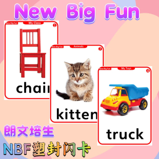 朗文培生NewBigFun英語單詞卡兒童啟蒙NBF塑封教學(xué)閃卡教師教具