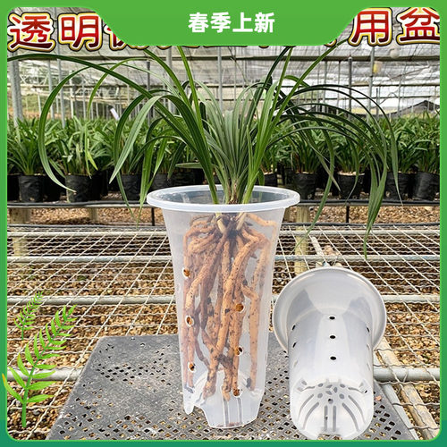 树脂多侧孔透明兰花盆