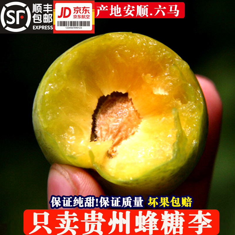 贵州正宗镇宁六马蜂糖李新鲜当季孕妇水果脆甜脱骨李空心青脆李子