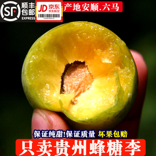 贵州正宗镇宁六马蜂糖李新鲜当季孕妇水果脆甜脱骨李空心青脆李子