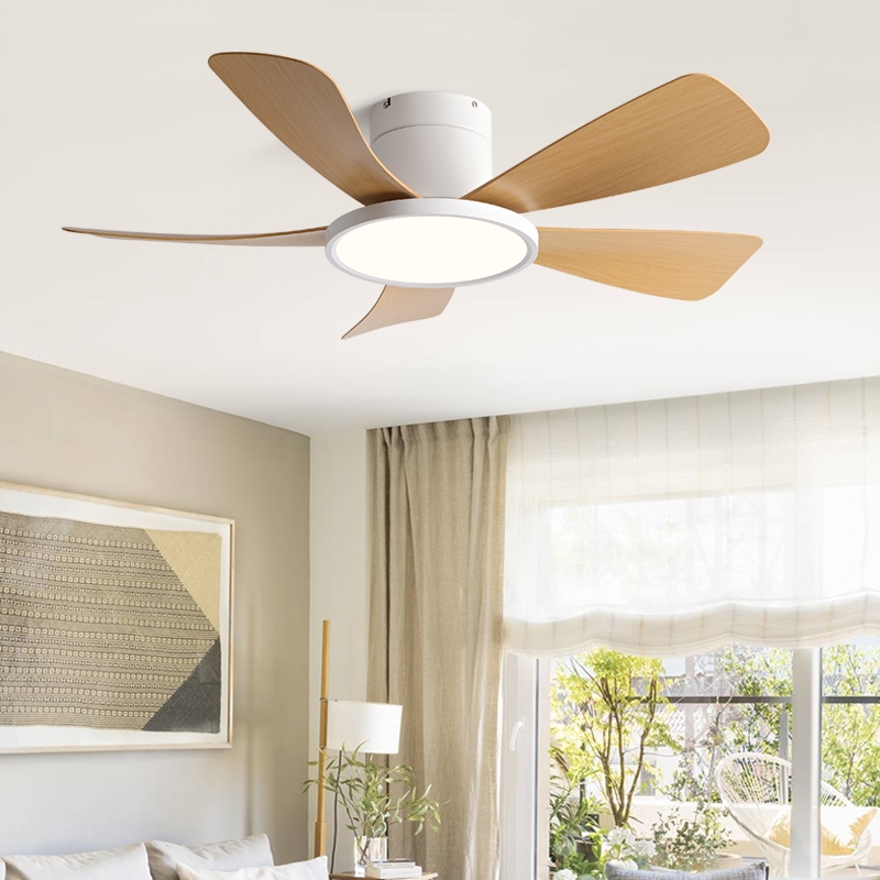 吸顶家用风扇灯2025年新款餐厅静