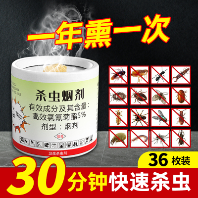 害虫克星家用灭蟑螂蚊子烟雾剂强力熏杀除跳蚤臭虫飞虫苍蝇一窝端
