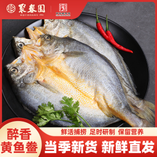 聚春园x海名威醉香黄鱼鲞醇香调味黄花鱼大黄鱼海鲜冷冻生鲜免杀