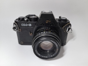 抵账复古装 报废相机 6二手胶片机坏 饰摆件 孔雀PEAFOWL