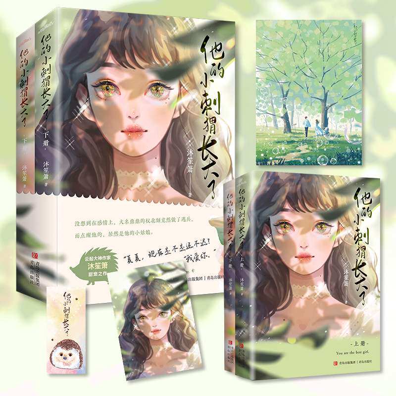 正版   他的小刺猬长大了 沐笙箫甜宠爱情言情都市小说悦读纪莫忘初心