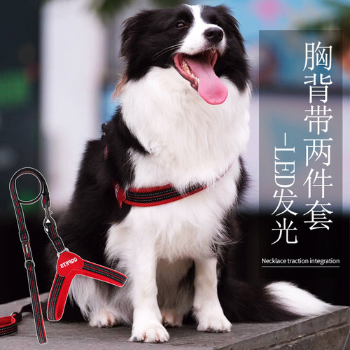 宠物胸背带狗狗牵引绳训练用品