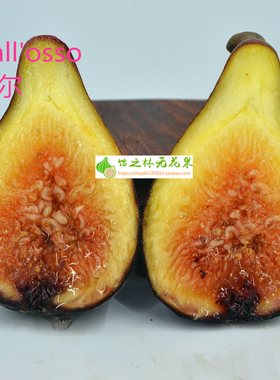 饴之林 Dall osso 达尔无花果树苗 丰产黑色果 盆栽营养钵小苗