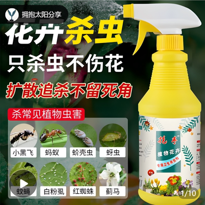 蚧壳虫专用药小白虫介壳虫杀虫剂