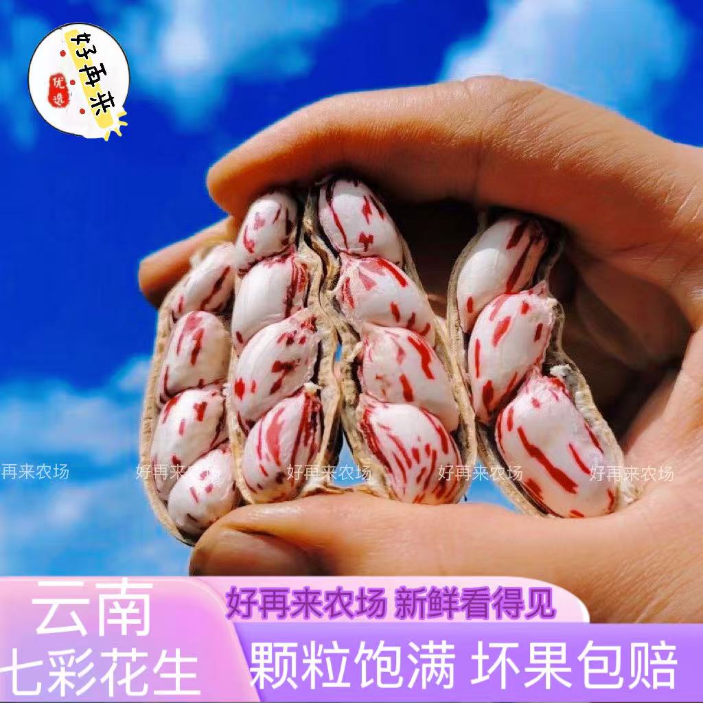 云南七彩花生水洗精品