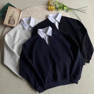 Xanvas知识分子假两件条纹v领纯色卫衣短宽boxy套头百搭学院风