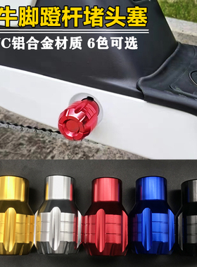 适用九号F30c F90m 机械师小牛电动车通用改装中轴脚踏长脚蹬堵头