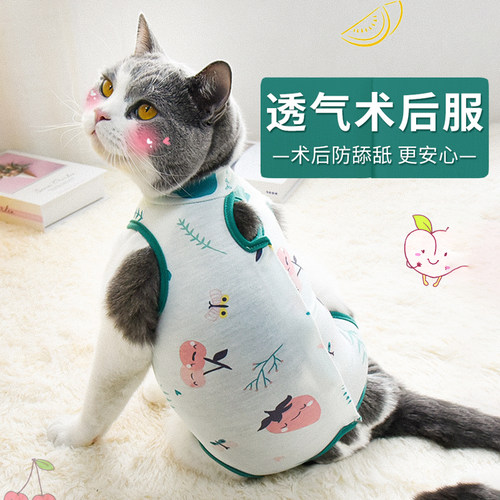 母猫驱虫防舔透气绝育服
