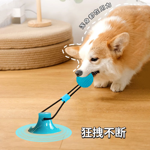 狗狗玩具耐咬磨牙互动