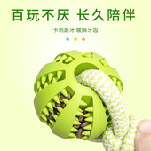 狗狗玩具耐咬宠物玩具磨牙解闷自己玩具球幼犬金毛泰迪狗用品