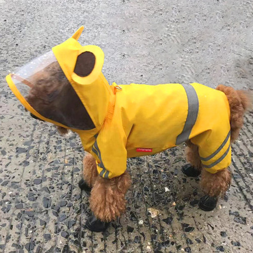 小狗狗泰迪柯基四脚防水全包雨衣