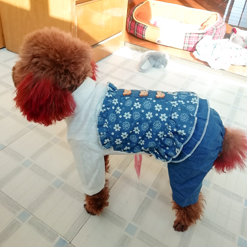 裙子博美雪纳瑞冬季加厚狗狗衣服