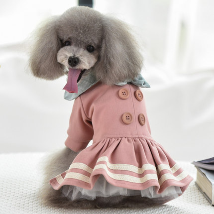 小狗狗衣服冬装加绒泰迪秋冬加厚幼犬小型犬泰迪宠物冬天衣服