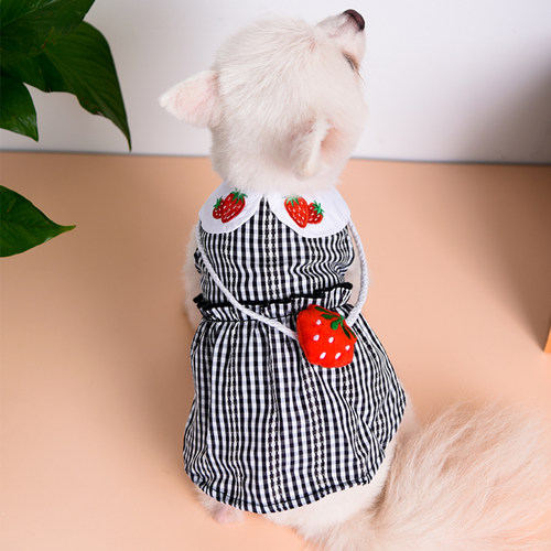 博美小型犬猫咪柯基夏天狗狗衣服