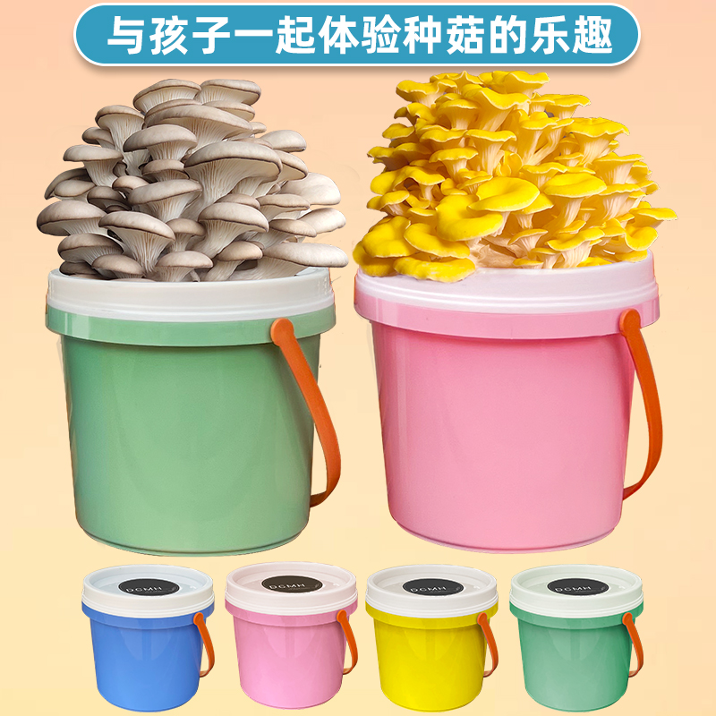简单种蘑菇儿童礼物桶装食用DIY