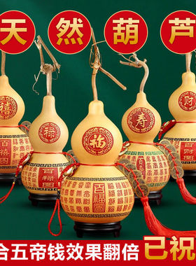 葫芦摆件天然特大葫芦五福带龙头门对门五帝钱玄关客厅真葫芦挂件