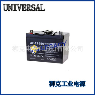 德国WING蓄电池BTX1217LS免维护12V17AH应急消防深循环电瓶