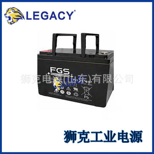 丹麦FGS蓄电池FGL210009免维护12V100AH仪器应急电源